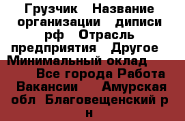 Грузчик › Название организации ­ диписи.рф › Отрасль предприятия ­ Другое › Минимальный оклад ­ 13 500 - Все города Работа » Вакансии   . Амурская обл.,Благовещенский р-н